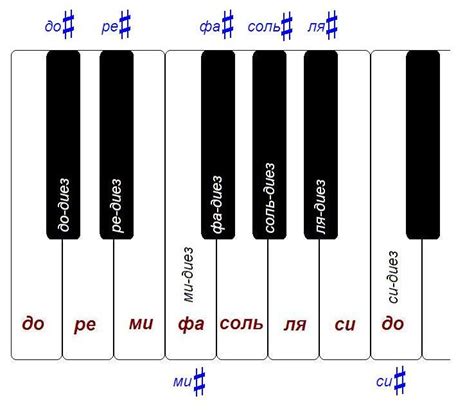 Основные клавиши на клавиатуре фортепиано