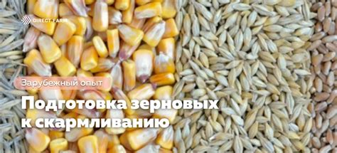 Основные компоненты и их влияние на питательную ценность готовой продукции