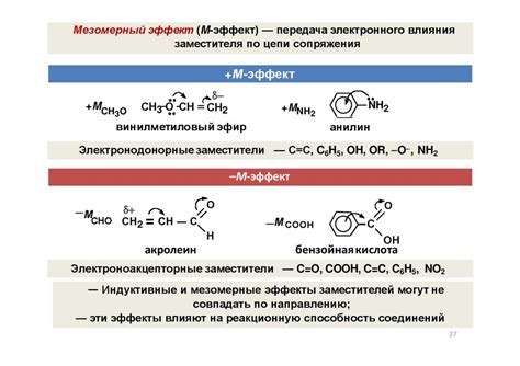 Основные компоненты органических веществ: роль первичных углеродных атомов в молекулах