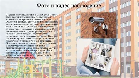 Основные места поиска матки муравья в жилых помещениях