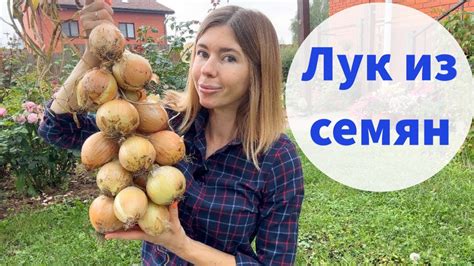 Основные методы получения семян из стрелок лука: экспертные техники