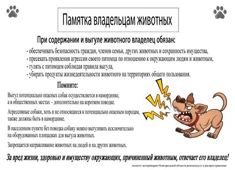 Основные моменты безопасности для домашних питомцев и их владельцев