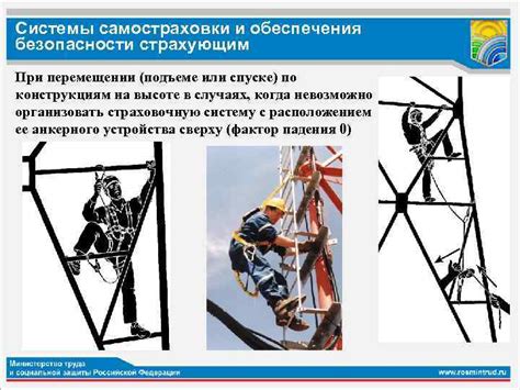 Основные нормы безопасности при подъеме на вершины деревьев московских парков