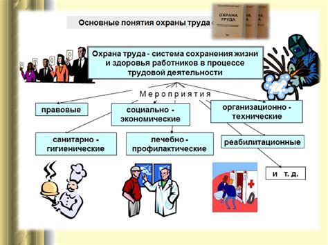 Основные нормы и принципы работы специалиста по охране в торговом заведении: обзор