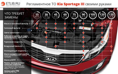 Основные особенности и назначение маркировки кузова на автомобиле Киа Спортейдж 3