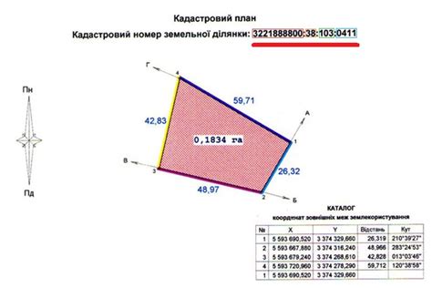 Основные понятия и назначение кадастрового номера участка