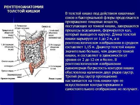 Основные преимущества регулярного проведения исследования толстой кишки