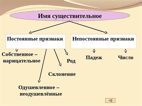 Основные признаки существительного: какпонять, что это именно существительное