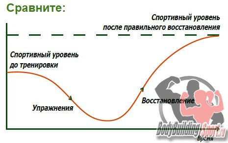 Основные принципы восстановления: эффективные стратегии восстановления организма