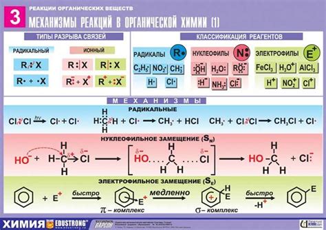 Основные принципы и механизмы вегетативных реакций