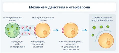 Основные принципы и механизм действия мезотерапии при простуде