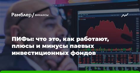 Основные принципы и разнообразие видов в паевых инвестиционных фондах