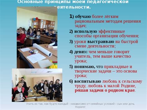 Основные принципы организации мыслительной деятельности на родном языке