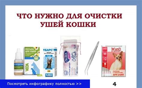 Основные принципы очистки ушей у котят