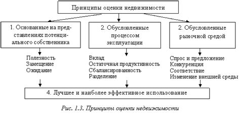 Основные принципы понятия индивидуализма