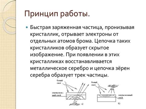 Основные принципы работы метода электрофореза