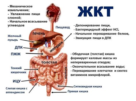 Основные причины заболевания