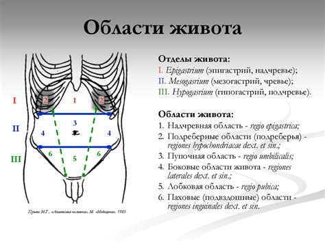 Основные причины острой неприятности в области живота без нарушений стула