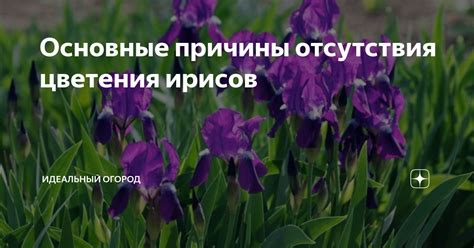 Основные причины отсутствия эмоциональной реакции