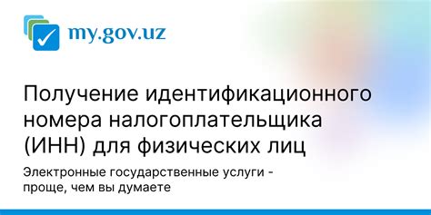 Основные пути получения электронной версии идентификационного номера налогоплательщика