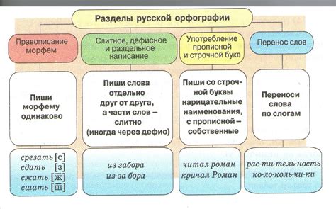 Основные разделы и поля формы 989 Н