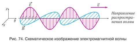 Основные различия между продольностью и поперечностью в электромагнитной волне