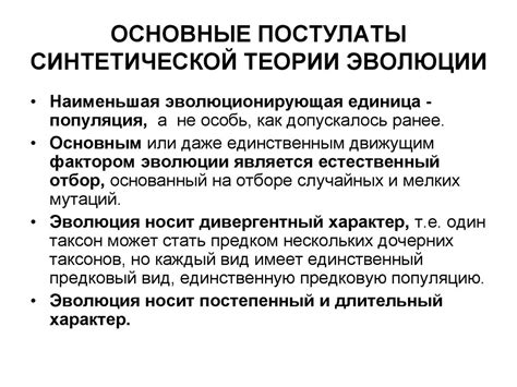Основные составляющие синтетической кожи