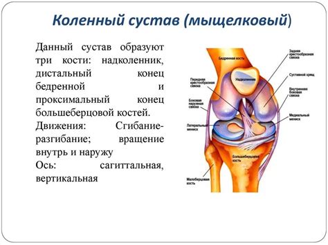 Основные способы восстановления функции коленного сустава