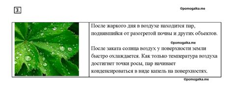 Основные способы определения расположения фильтра для воздуха внутри автомобиля Hyundai Starex