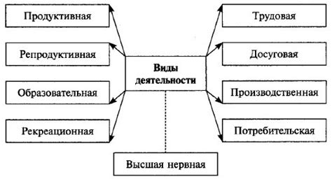 Основные сферы деятельности в экономике Измаила