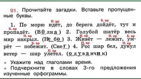 Основные темы изучения падежных форм в учебной программе