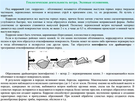 Основные типы геологических структур и их роль в формировании запасов нефти и газа