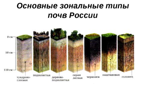 Основные типы земельного назначения и их характеристики