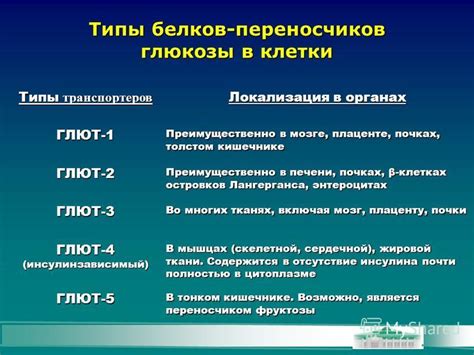 Основные типы переносчиков сахаров