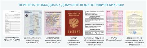 Основные требования к необходимым документам для оформления автомобиля в текущем году