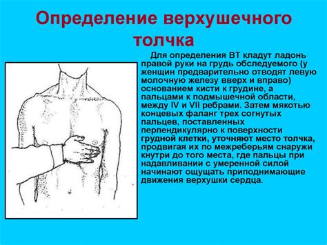 Основные участки пальпации верхушечного сокращения: особенности щупания и анатомические ориентиры