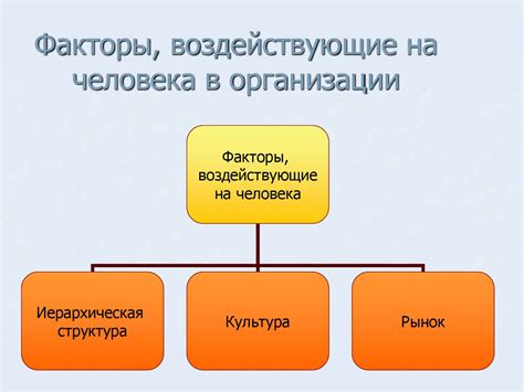 Основные факторы, воздействующие на эффективность продаж в онлайн-магазине