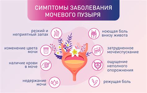 Основные факторы, способствующие сужению мочевого пузыря у представителей сильного пола