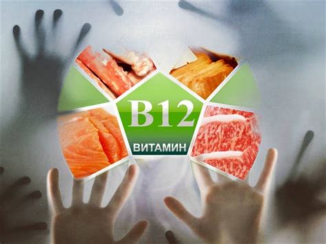 Основные функции витамина B12