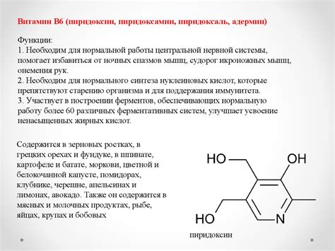 Основные функции витаминов лецитина