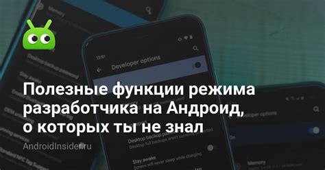 Основные функции и возможности режима разработчика