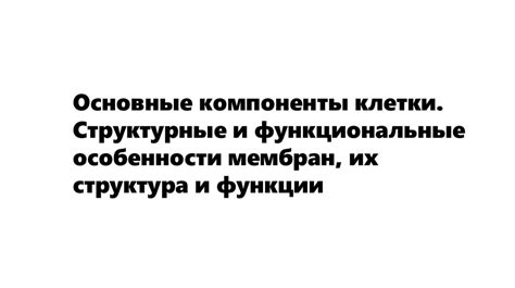 Основные функции и структурные особенности головок