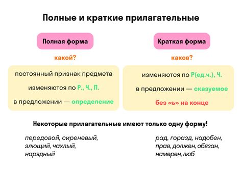 Основные характеристики и функции прилагательного