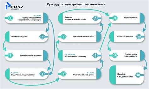 Основные этапы процедуры регистрации товарного обозначения в стране Россия