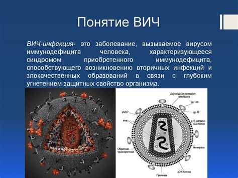 Основы ВИЧ и ДКП: различия и взаимосвязь