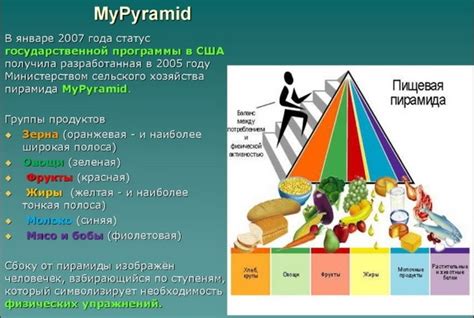 Основы здорового питания: важные принципы для всех