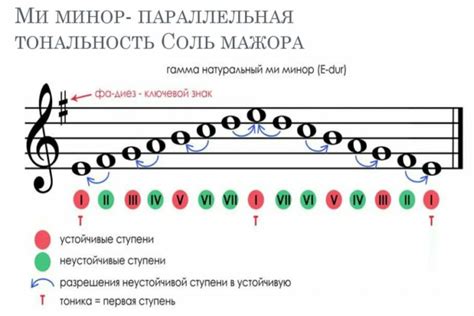 Основы расположения нот на домре: ключевая информация