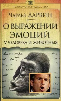 Особая роль динамичности плеч в выражении эмоций и придании выразительности