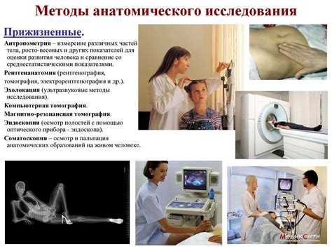 Особенности анатомии и физиологии для успешного взлета