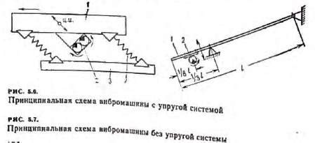 Особенности вибрационных механизмов и движений, способствующих взлету стрижа